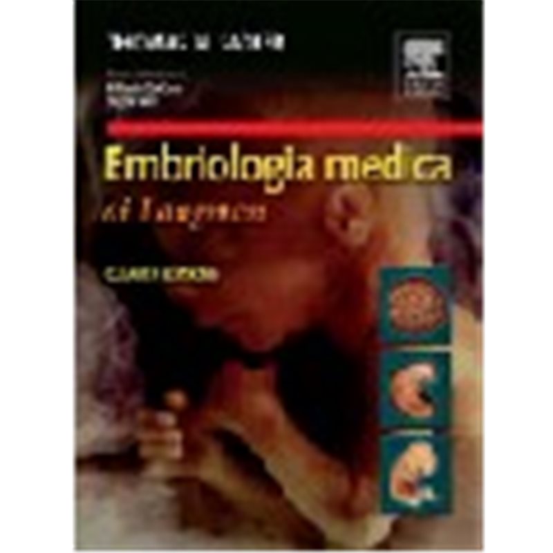 Embriologia medica di Langman Quarta edizione